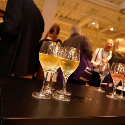 Lo Res TPI Conference 493